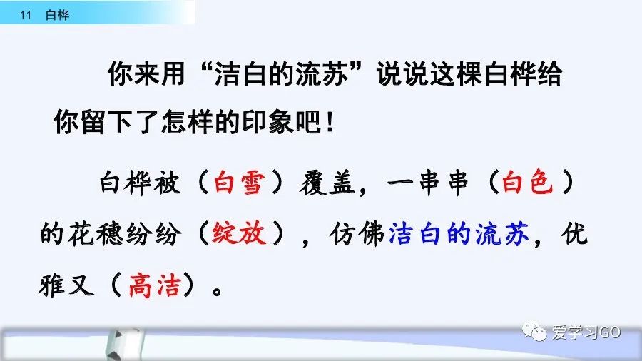 部编版四年级下册第11课《白桦》课文朗读 知识要点 图文讲解 同步