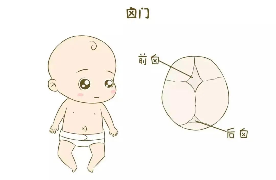 宝宝几个月开始发育好 600212c3bd6f4c498ffad96482361209.jpeg