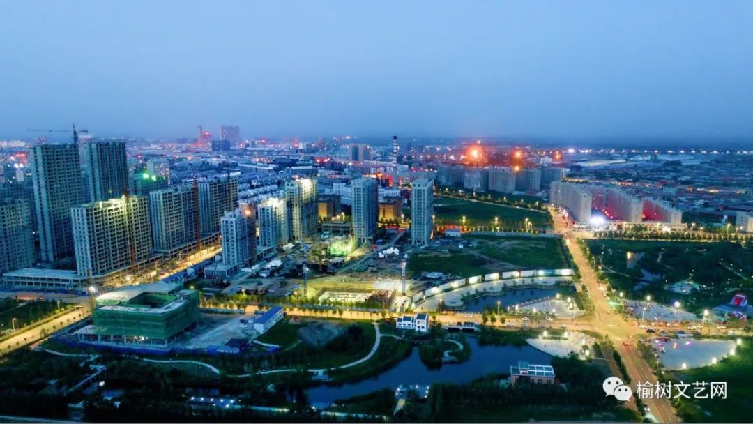 榆树经济总量_榆树盆景