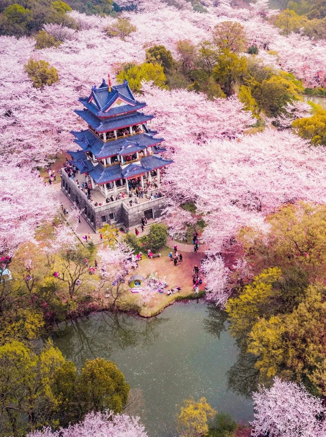 春水人口_繁星春水图片(3)