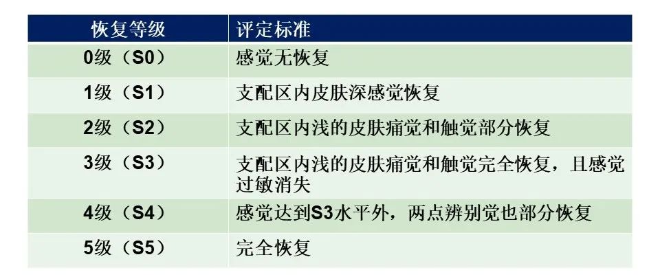 moberg拾物试验材料准备:螺母,回形针,硬币,别针,尖头螺丝,钥匙,铁