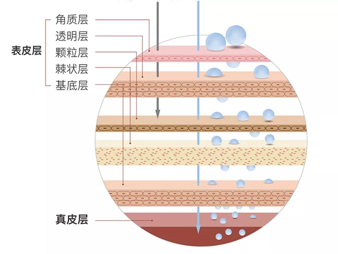 沈月这是请教了何方高人,居然美了这么多!_皮肤