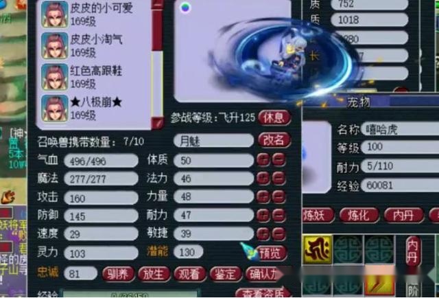 焚天再生，短剧的魅力与深度，焚天再生，短剧的魅力与深度探索