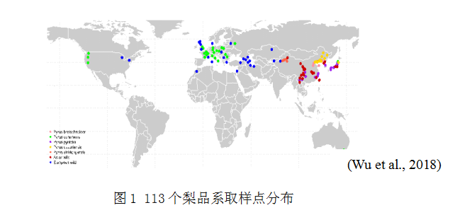 a771830cc46a48cf93626d8c732f63ac.png