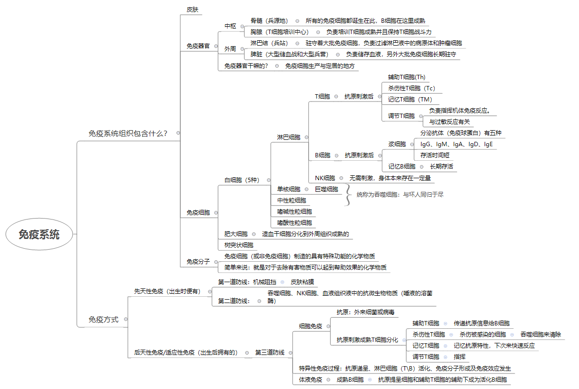 人体的免疫系统就像是人体的护卫队,而组成这支护卫队的则是免疫细胞