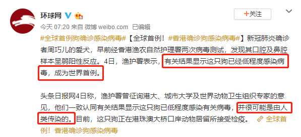 全球首例狗狗確診感染，最可怕的事情來了：人類，求你別再造孽了 寵物 第1張