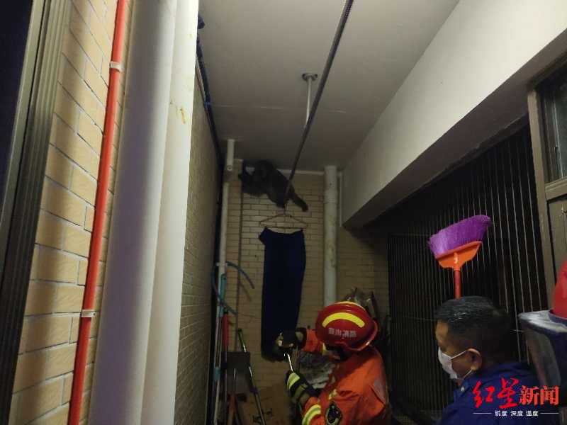 “大师兄”闹腾拉菲小区 飞檐走壁10天被活捉