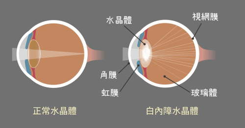 d8debfd9eb6e4388885cd4120130884a.png