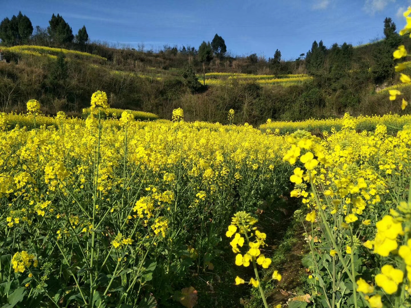 春天美丽风景已经到来!