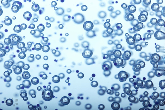 e42d51e03a404d6a8345e305e666f0c3.png