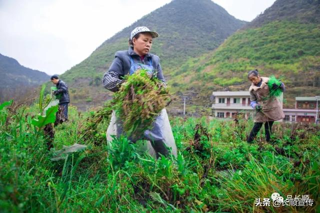 长顺有多少人口_广黔同心携手同行 越秀携手贵州长顺实现精准扶贫(3)