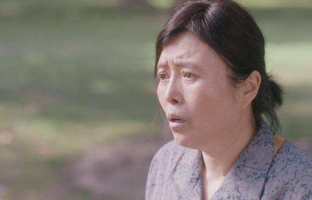 安家：房似锦不是亲生的，徐姑姑翻出房母日记