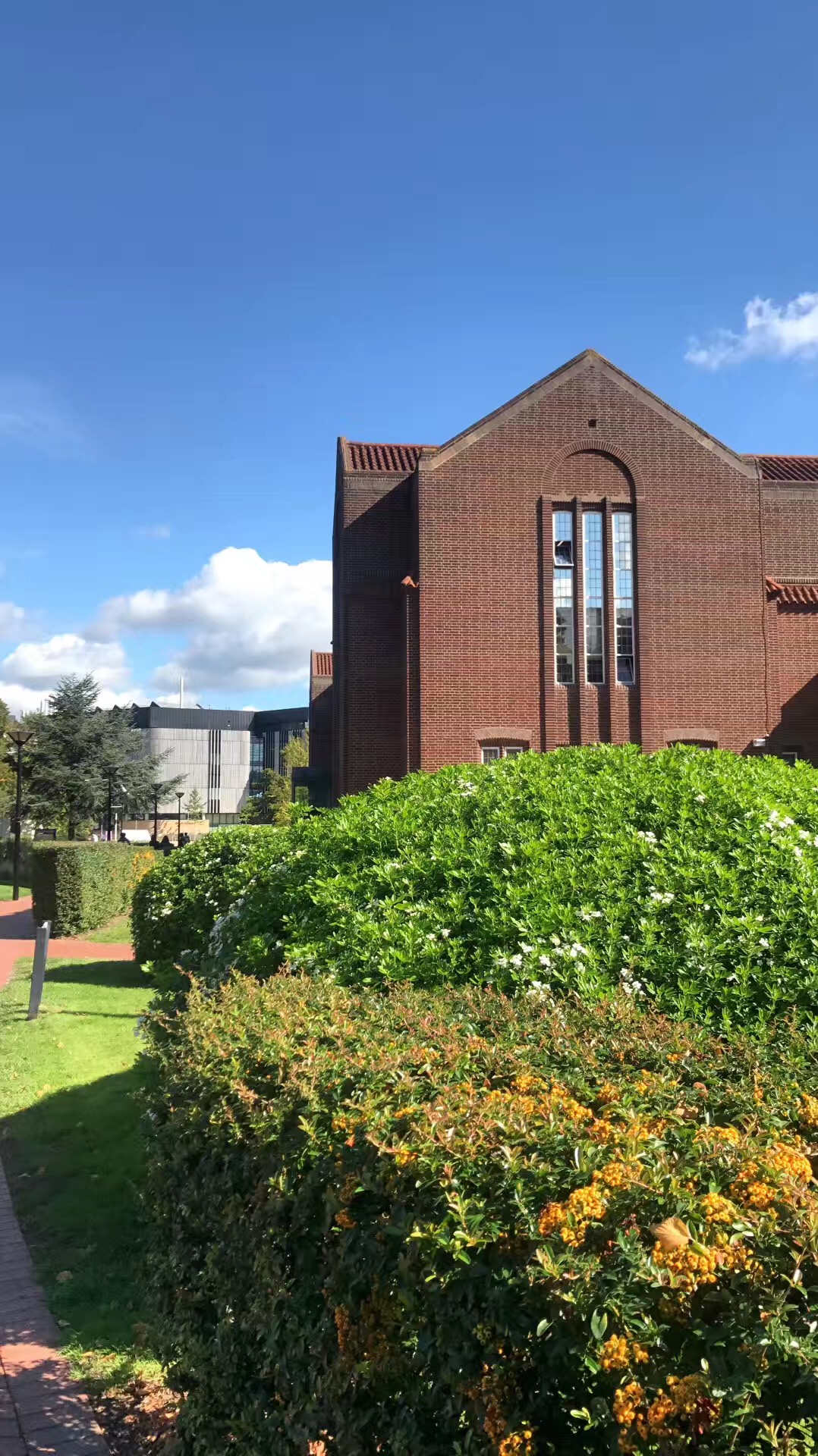 南安普顿大学排名_南安普顿大学(2)