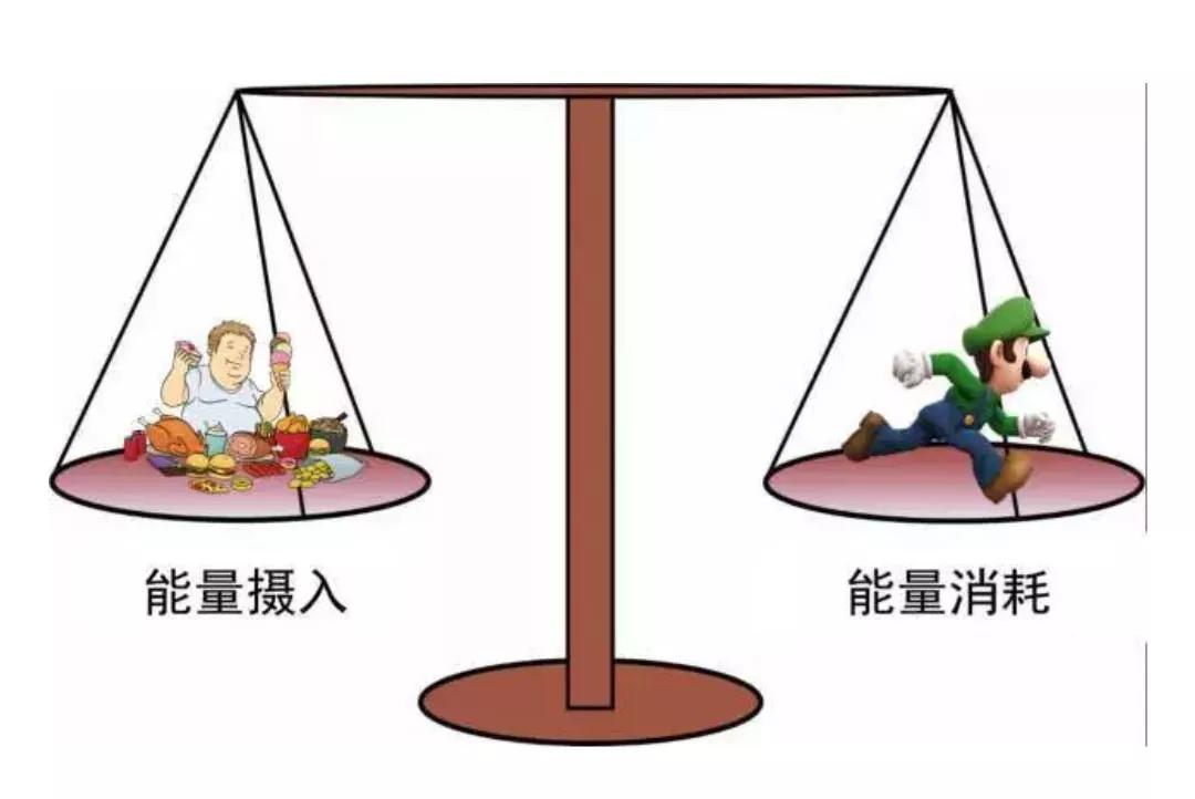 為什麼總說，瘦身期間必須要進行力量訓練！？ 健身減肥達人 第3张