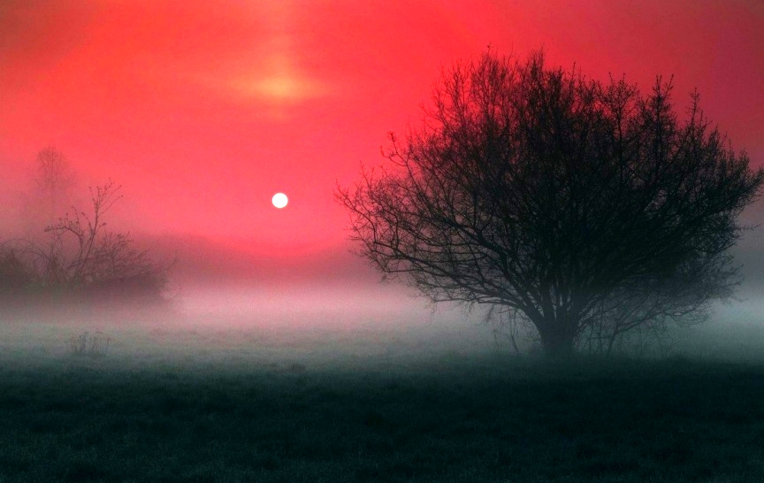 f3218db0690f4f94b5342862e386bd88.jpeg