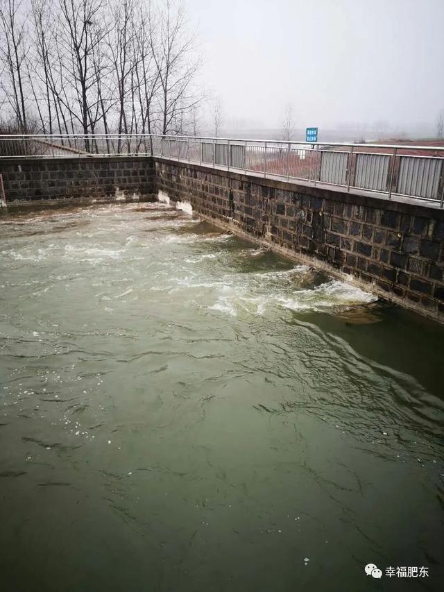 肥东这项工程全面启动!_水库