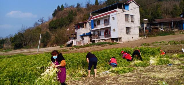 平泉县多少人口_平泉县地图(2)