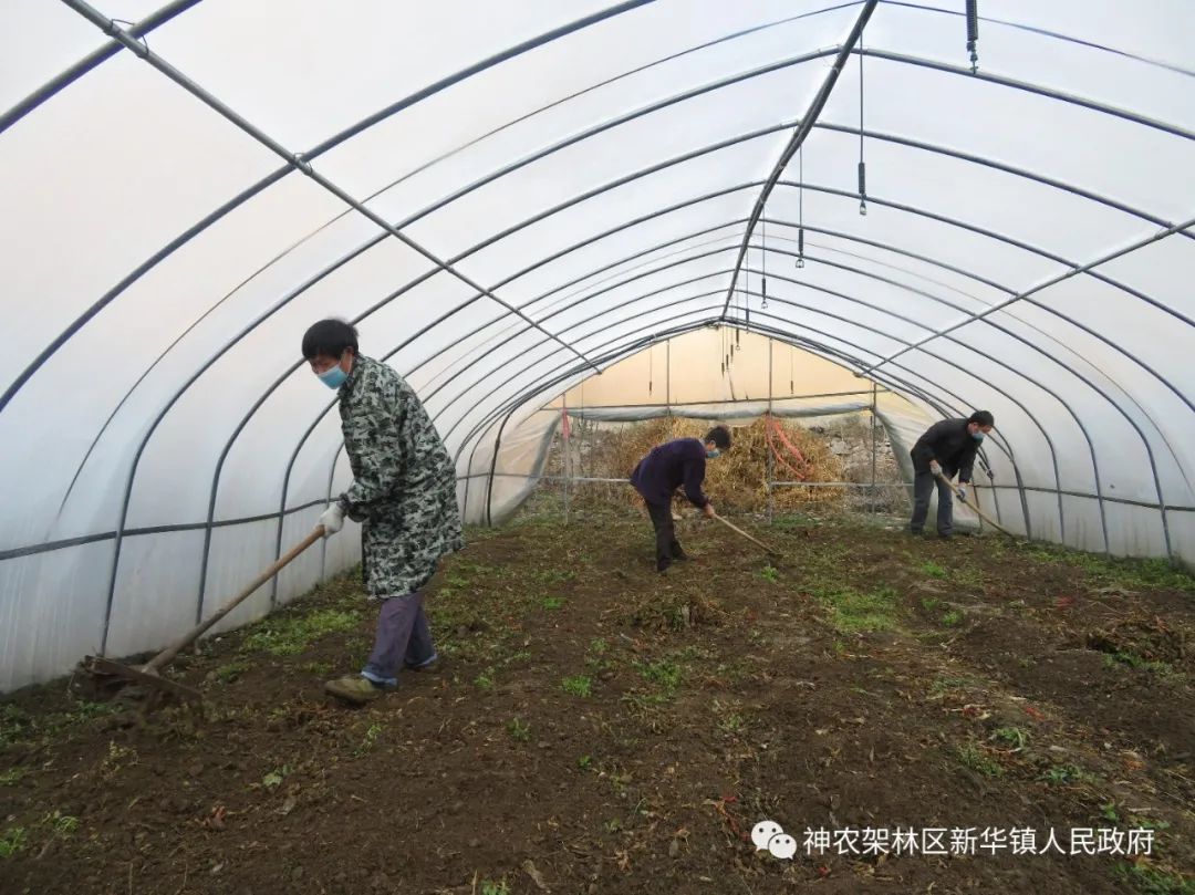 高粱镇有多少人口_树人镇有多少人口(2)