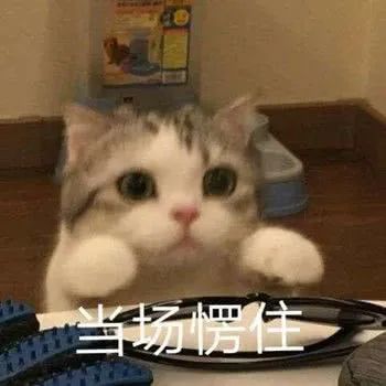 100dc6aa890744c3b8e3ee5e16a14d82.jpeg