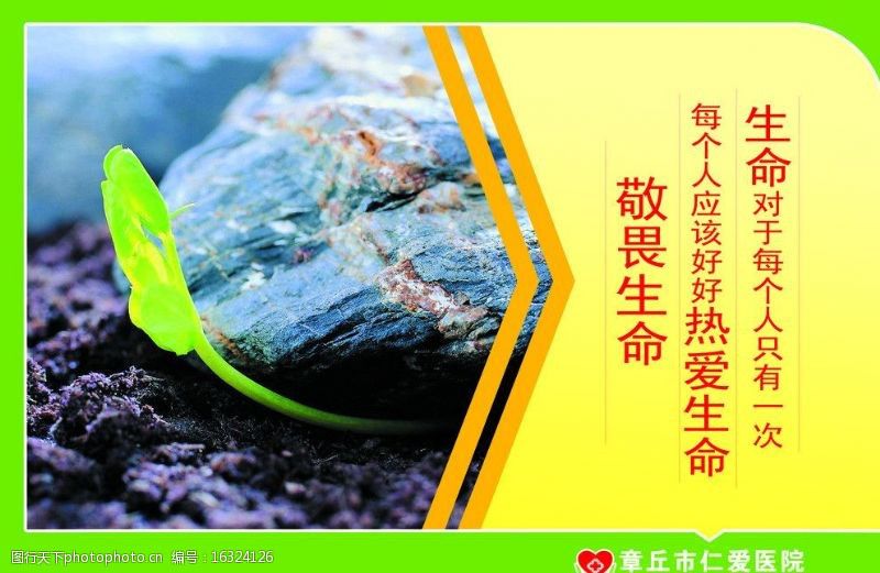 【抗击疫情】众志成城 攻克疫情——敬畏生命与自然