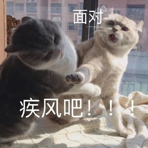 让没带课本的学生拍个后空翻视频发给我，结果有人发来了这个……