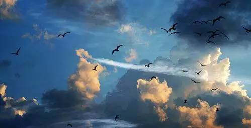 ����ʮ���ݳ�Ʒ,ӵ����Щ���㹻