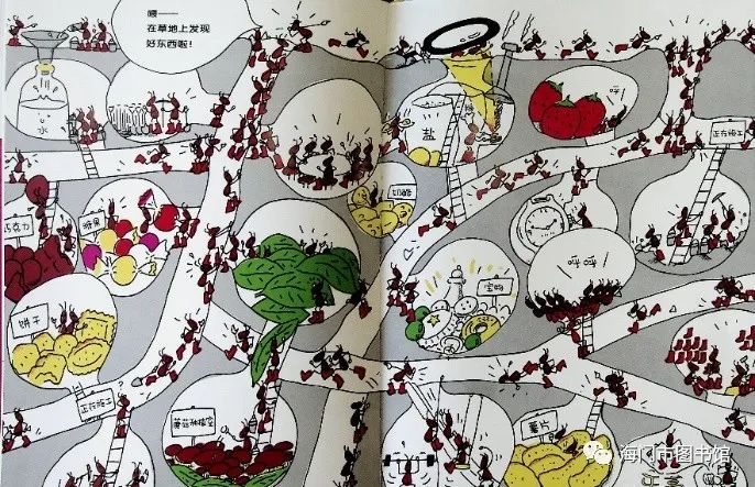 『海图微课堂』绘本小屋—蚂蚁和西瓜_王国