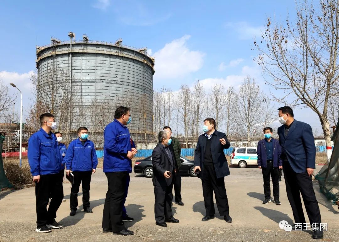 西王集团推进年产100万吨高端轴承钢新材料项目建设国际一流的轴承