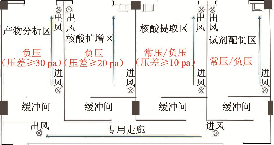 非洲猪瘟病毒荧光pcr检测假阳性的原因与预防措施