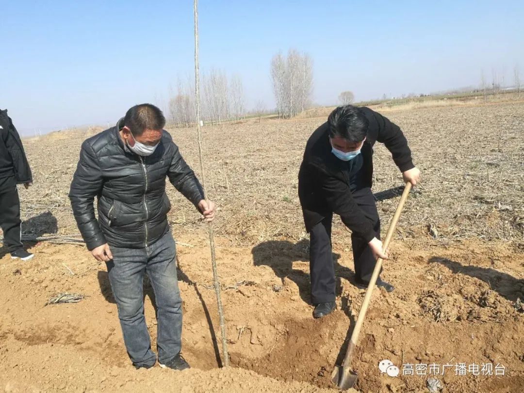柿子园镇人口_莘县柿子园镇雷庄离奇