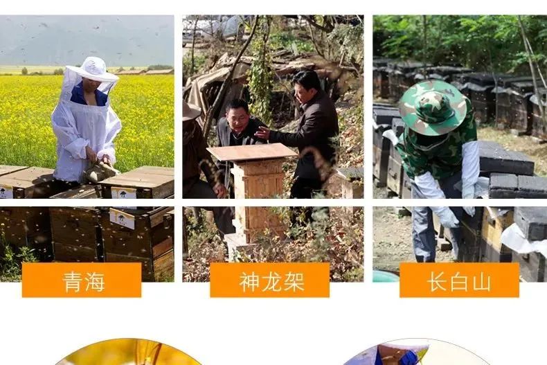 用心酿造的蜂蜜武汉市599元抢蜂之巢便携礼盒装独立条装蜂蜜套餐