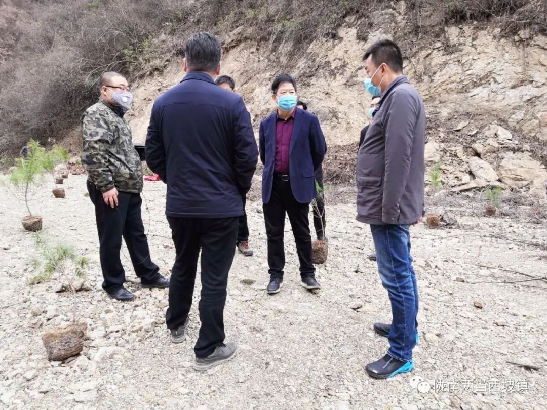 县委常委政府常务副县长马智带领相关部门负责人在西坡镇督促开展重点