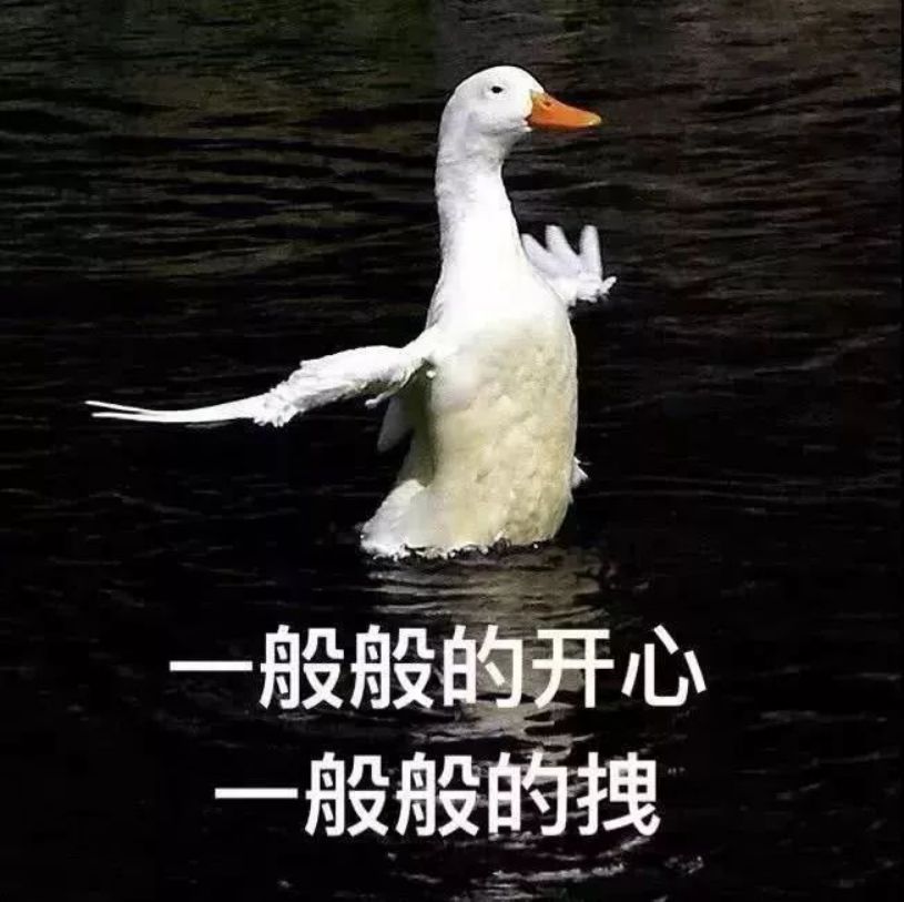 3725e18a55734519b5d846115ccf6ffc.jpeg