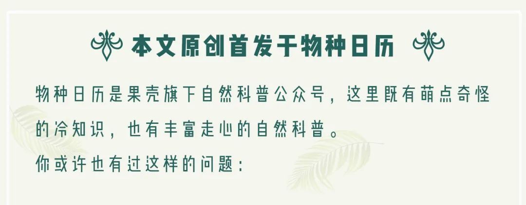 保護北極熊，從把它們「請」出商場開始 寵物 第16張