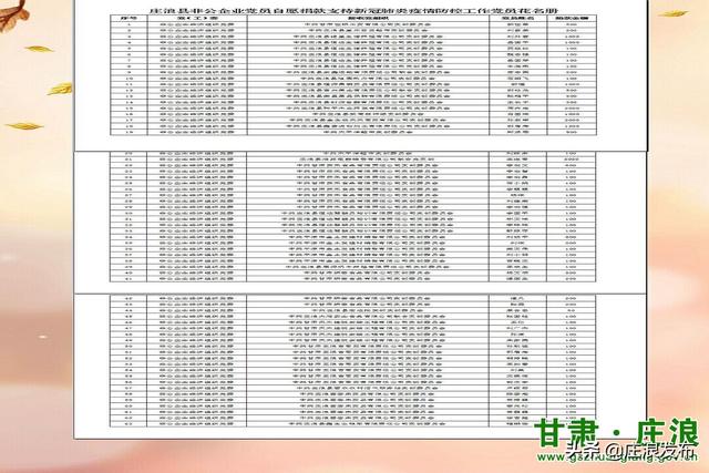 庄浪县gdp