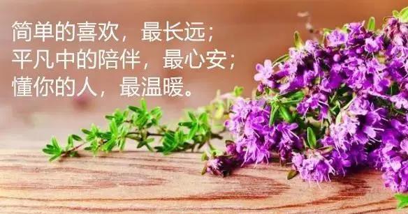 原创                 励志正能量句子:随遇而安,懂得放下,生命才会