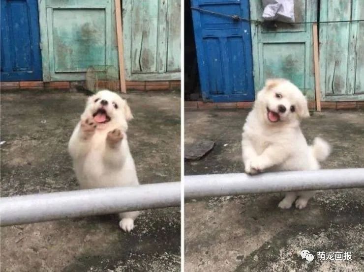 4dbb88788f364477883ea60047ba5f27.jpeg