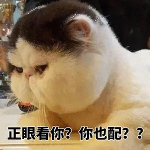 超可爱猫咪表情包:别过来,我怕猪,喵_包趣图