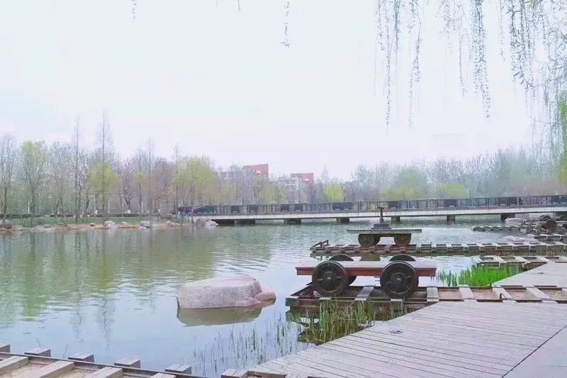 来一场"云踏春"吧——我在春天想郑大