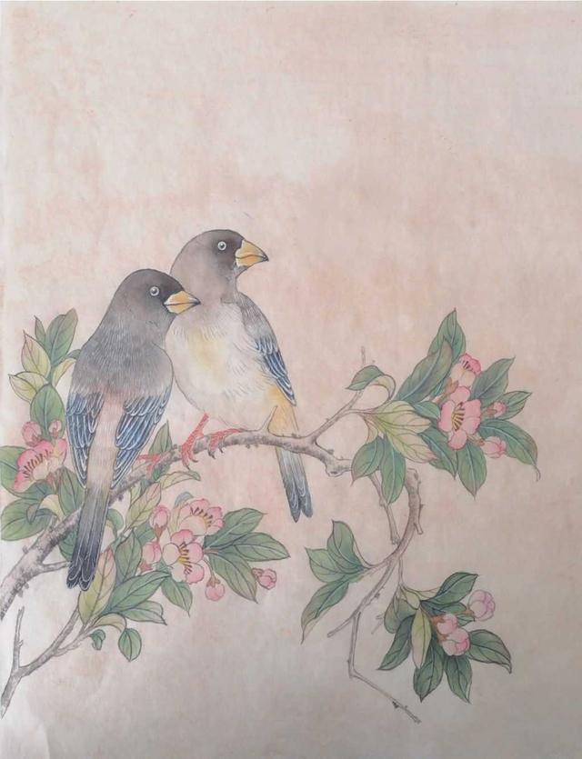 零基础工笔画教程:分步骤图解教你蜡嘴雀工笔画法,快来学习临摹