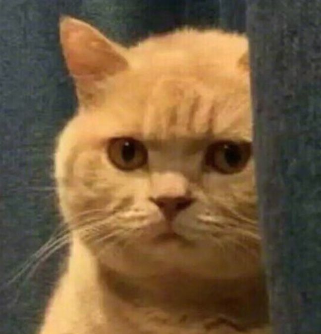 疫情聚众蹦迪，戴口罩反被罚款...意大利人心也