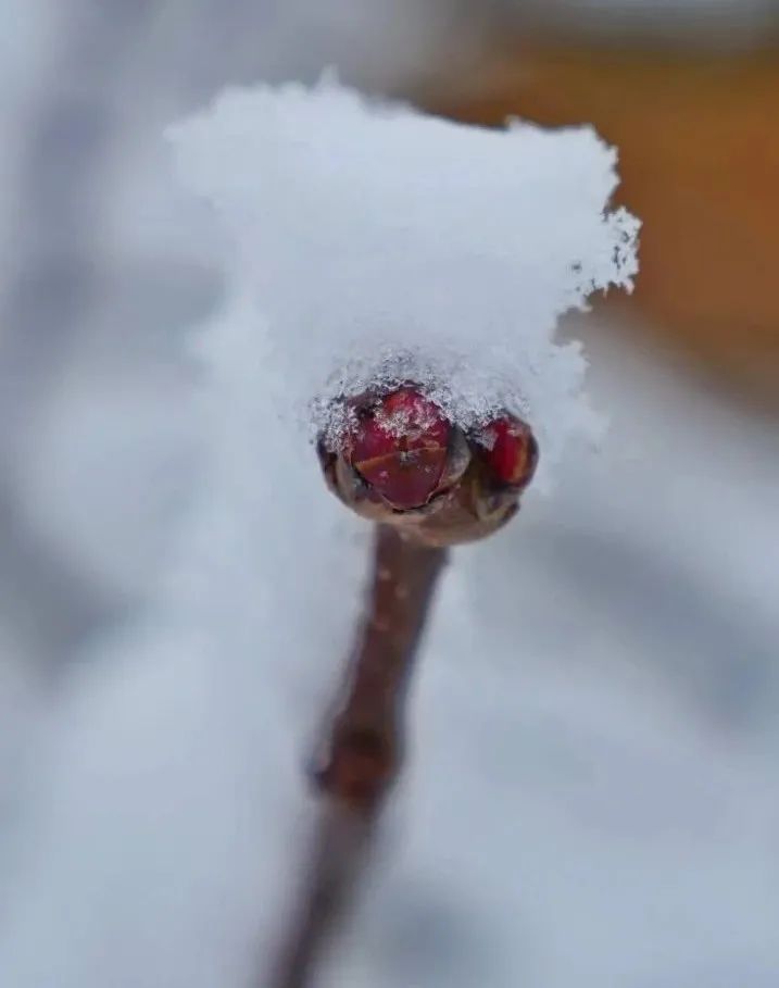 6c3a6b9028404e01863de6a955c24781.jpeg