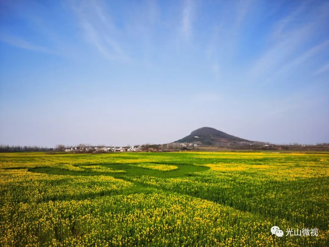 光山县百花迎春暨第三届仙居网络油菜花文化节直播开始啦