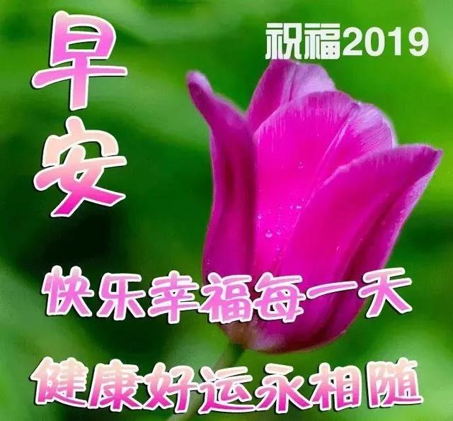 74ca925607d241eabdb6660900cc3671.jpeg