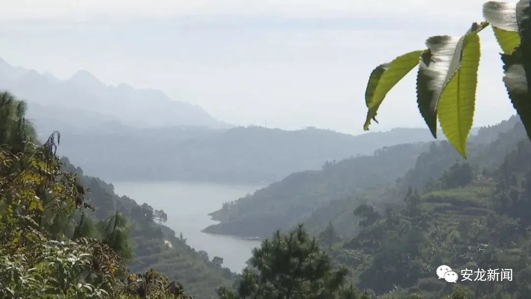 贵州安龙人口经济_贵州安龙县城老照片(2)