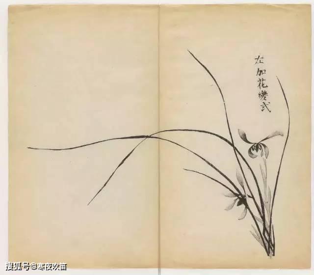和兰花简谱_和兰花在一起简谱(3)