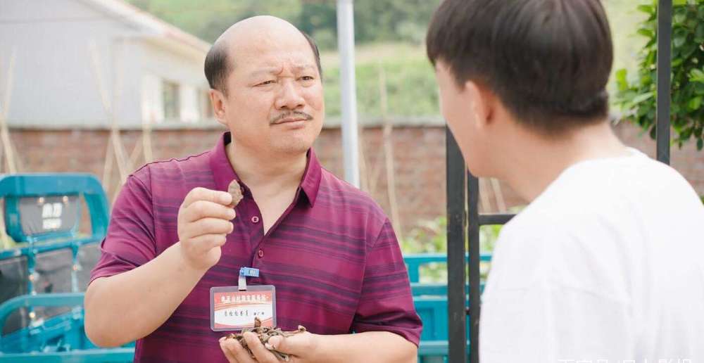 热播剧景气指数周榜出炉，《安家》为何能稳居