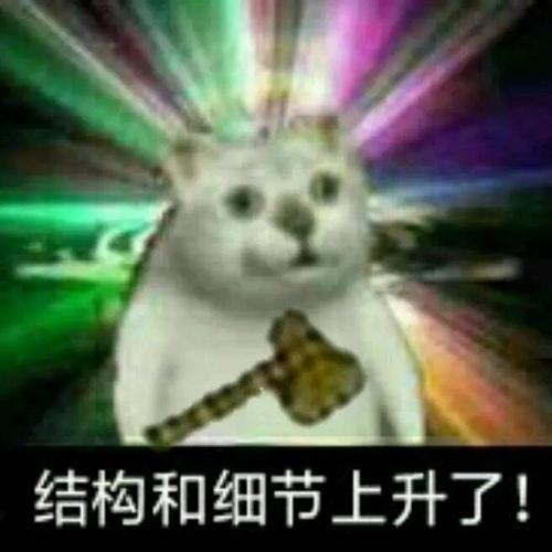 憨憨猫表情包合集|奇怪的知识增加了