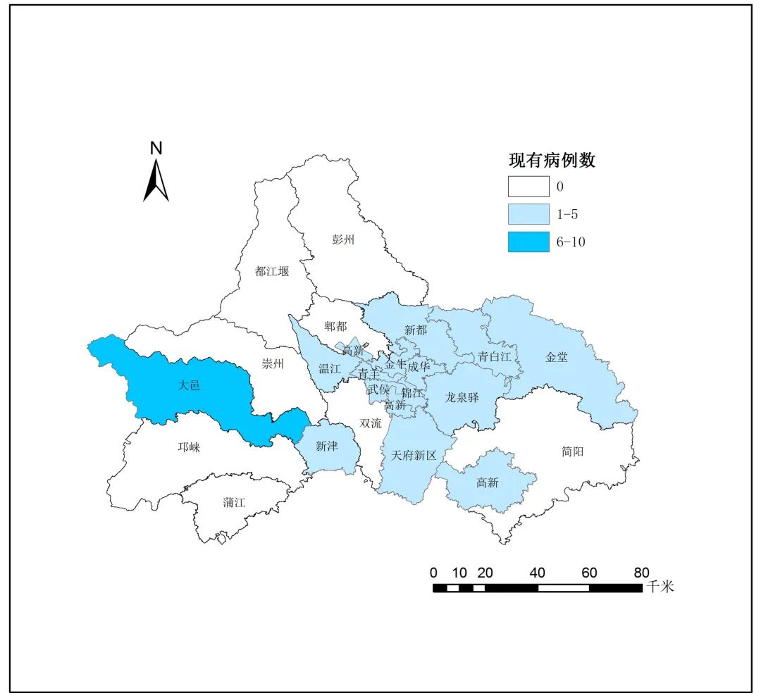 根据四川省区(市)县疫情高中低风险分区分级标准,全市疫情地图如下