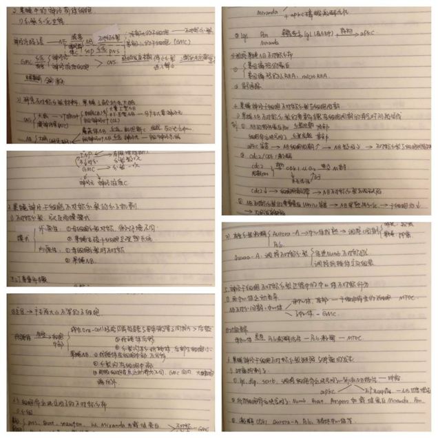 95cbee486fa74c089896153b340704a9.jpeg